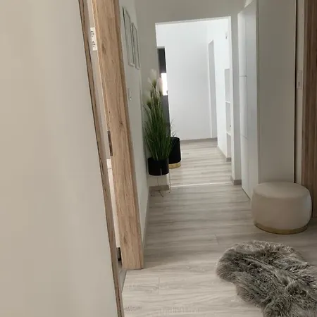 Daire D&v Eğri