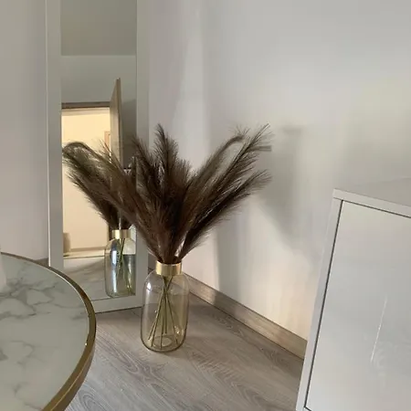 D&v * Eğri