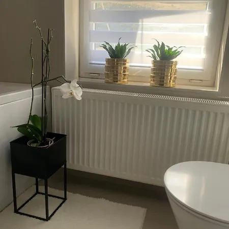 Apartament D&v *